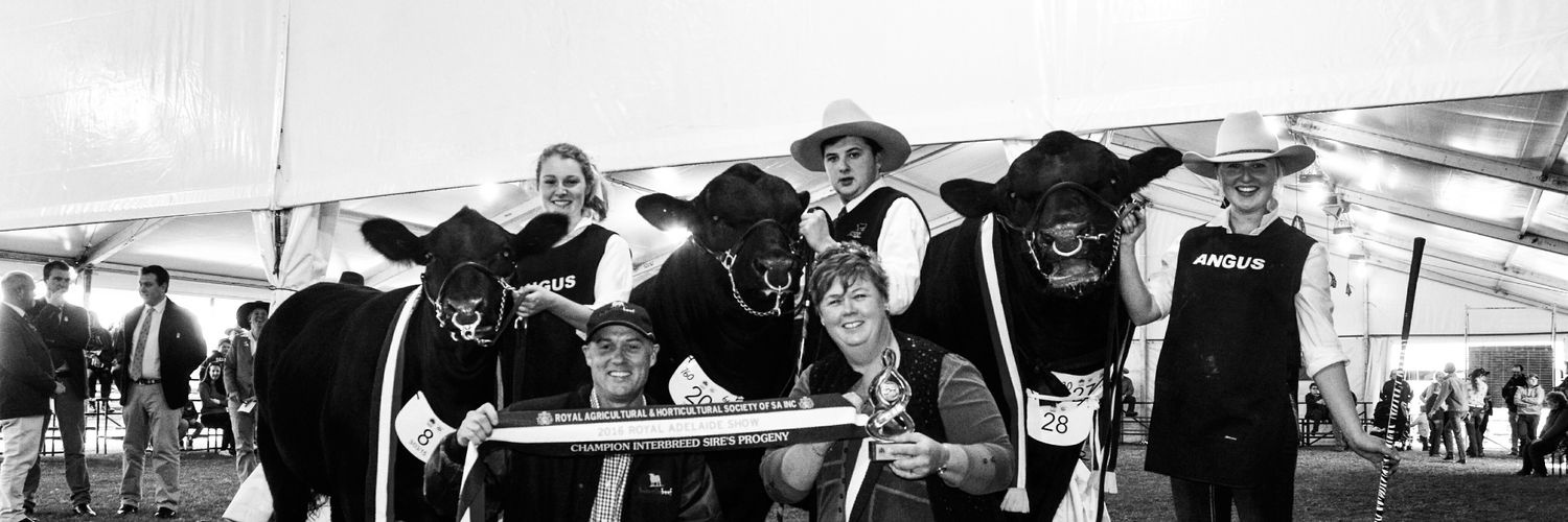 lanark_angus's profile banner image