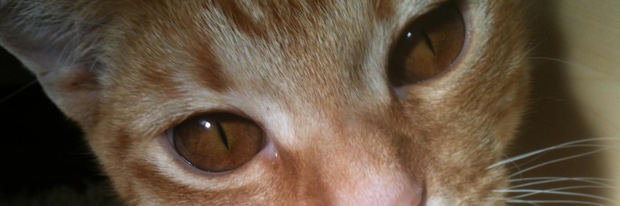 BennettSeth's profile banner image