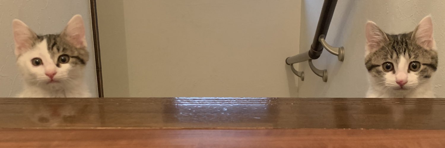 tadanochibisuke's profile banner image