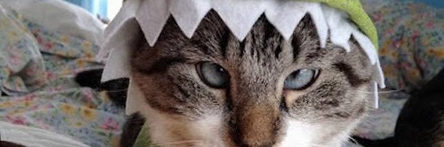 MuratGeylani54's profile banner image