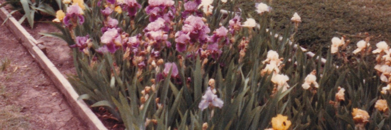 kljps139's profile banner image