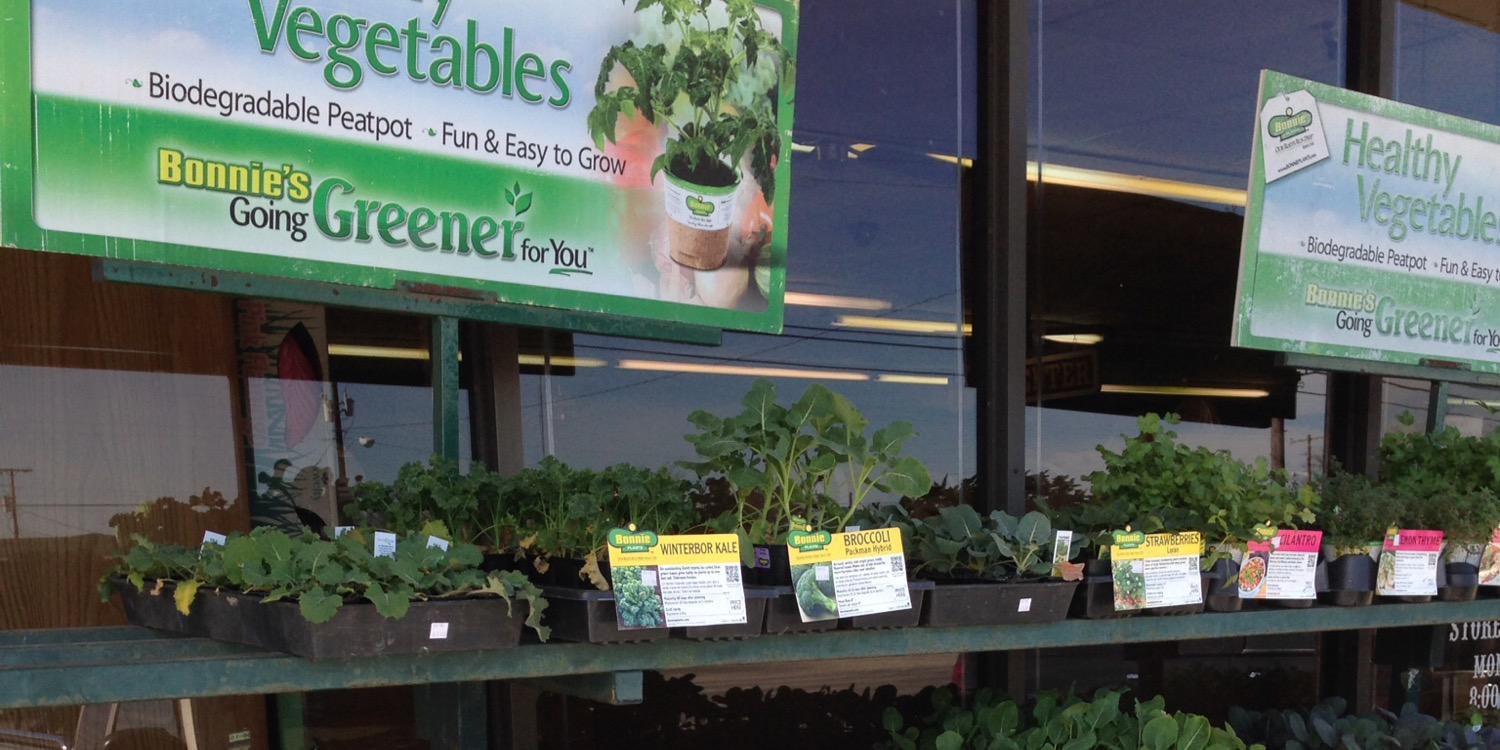 brazosfeedwaco's profile banner image