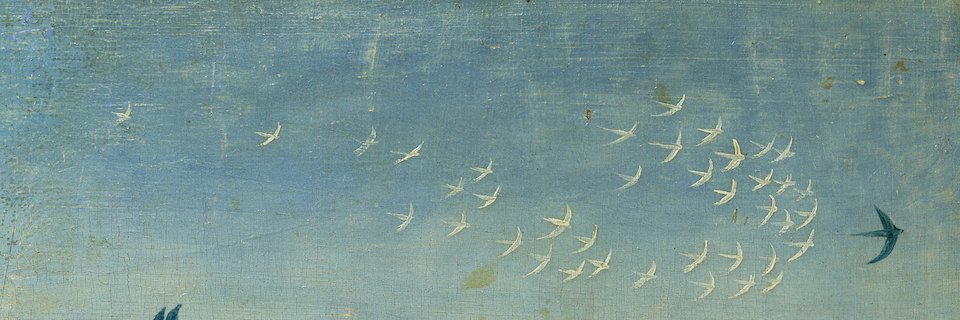 torstorv's profile banner image