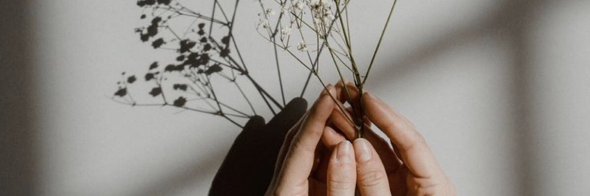 NohemyCisneros's profile banner image