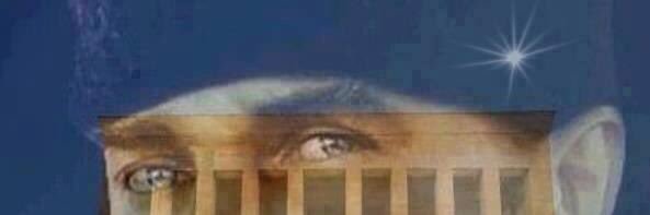 ehlinaztorun's profile banner image