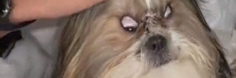 ErickGar14's profile banner image
