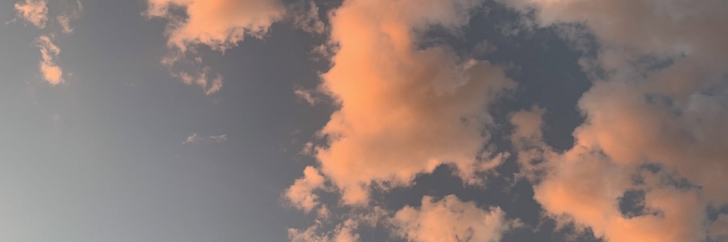 taylowe's profile banner image