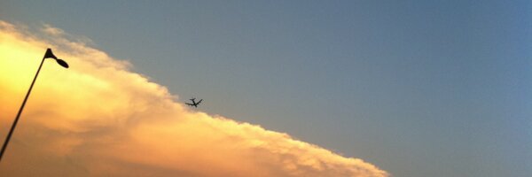 millerelisa Profile Banner