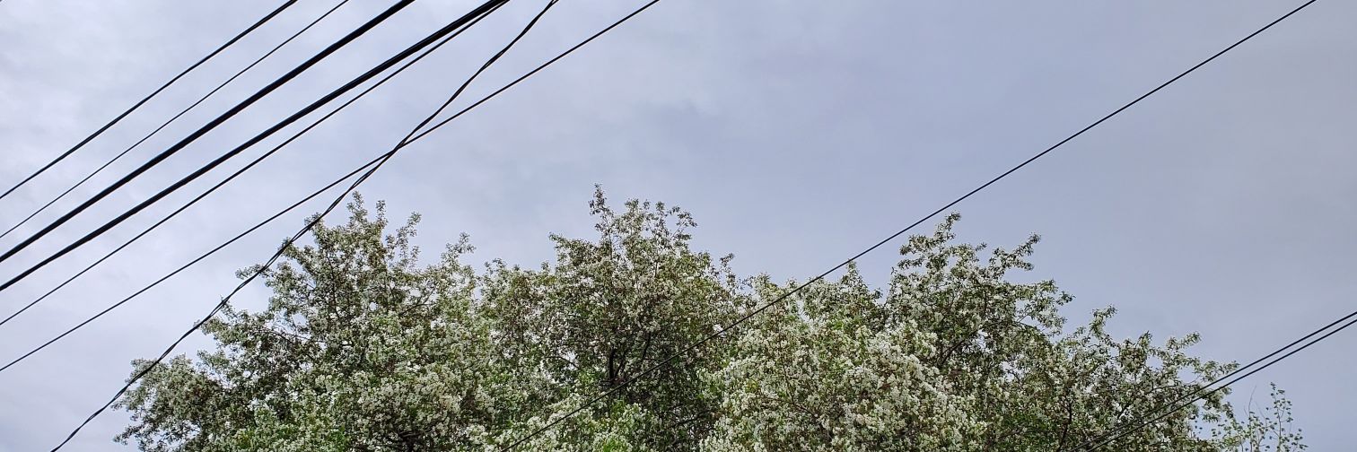 baebeedaddee's profile banner image