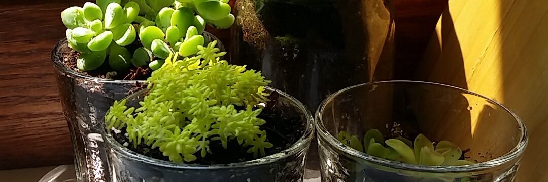 KathyMoening's profile banner image