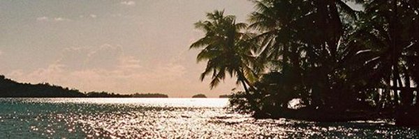 KaamilWitkowski Profile Banner