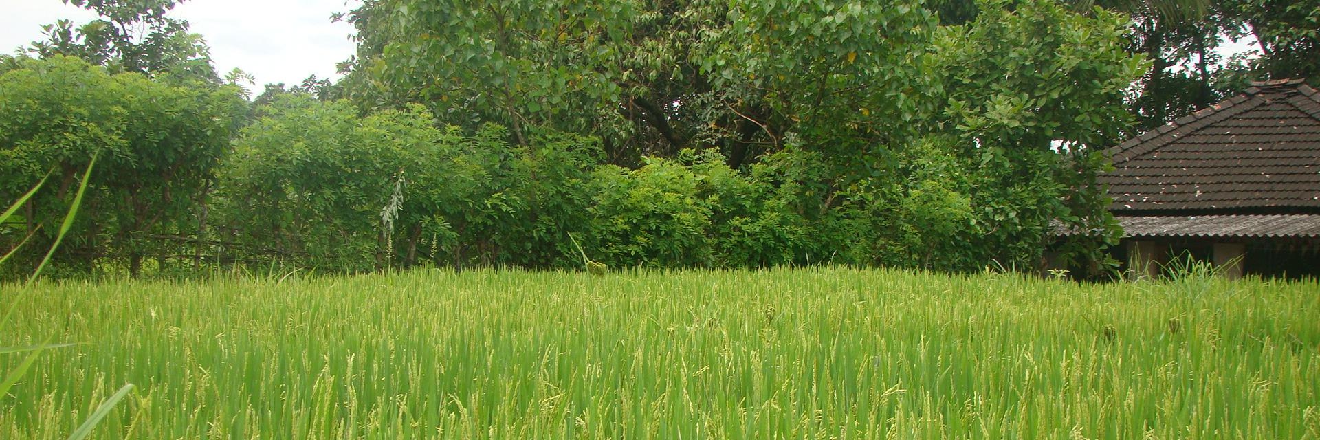 vishalksangle's profile banner image