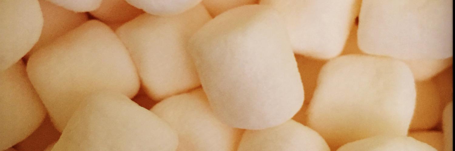 AmandaMooMay's profile banner image