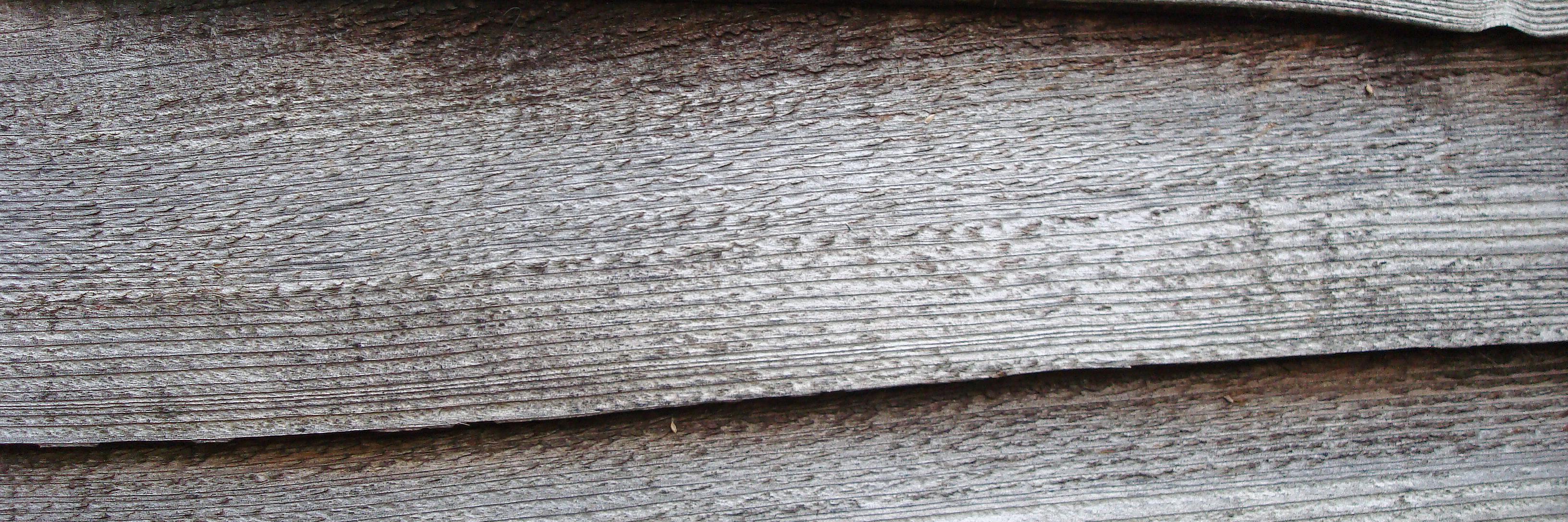 loveageing's profile banner image