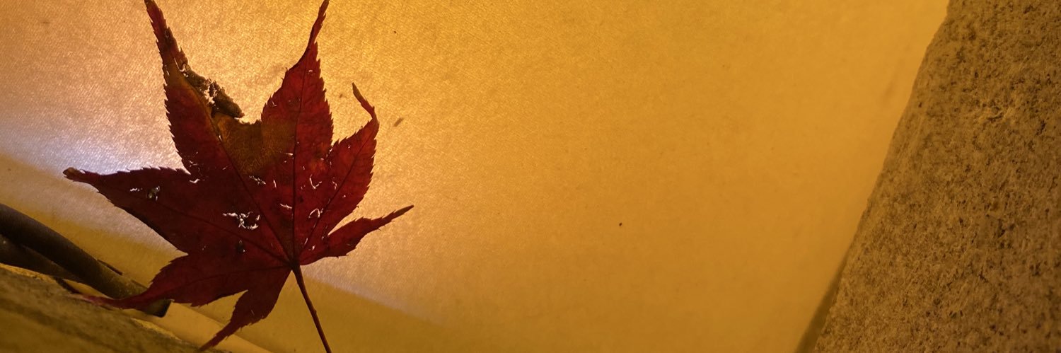 tomochin513's profile banner image