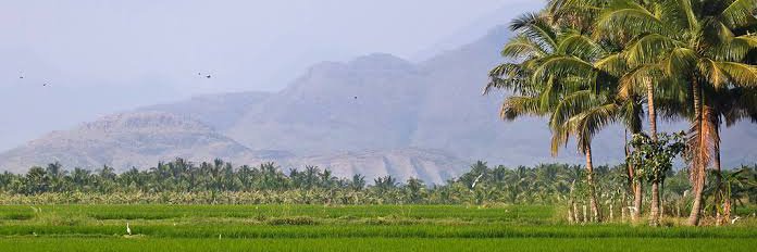 abdhulkadar's profile banner image