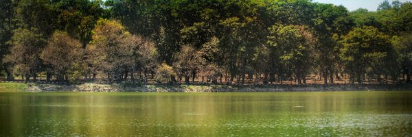 mesusheelkumar Profile Banner