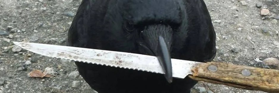 brendandunne's profile banner image