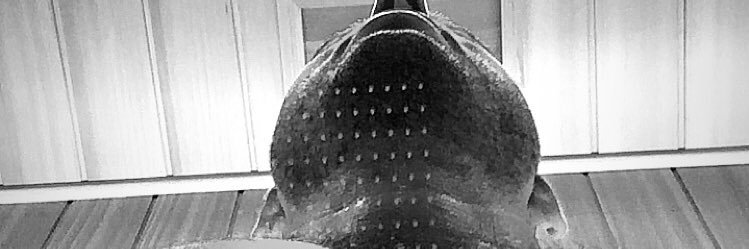 FilippoGiove's profile banner image