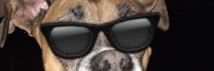 dovercarla's profile banner image