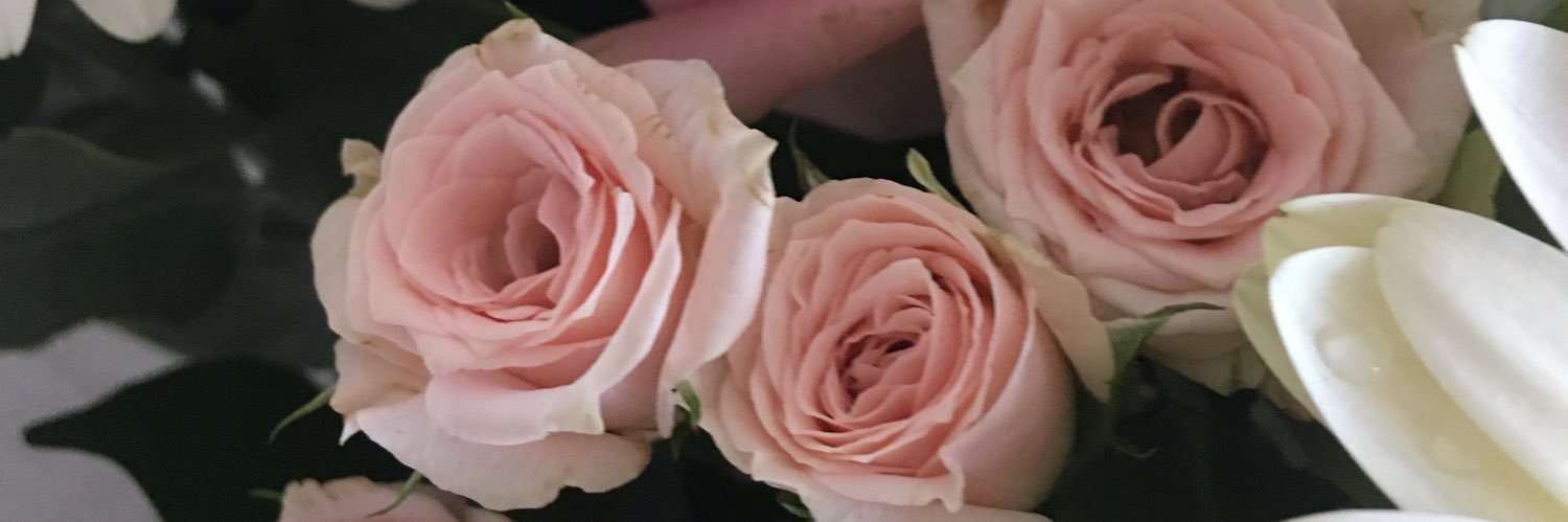 Lois Shuttleworth banner