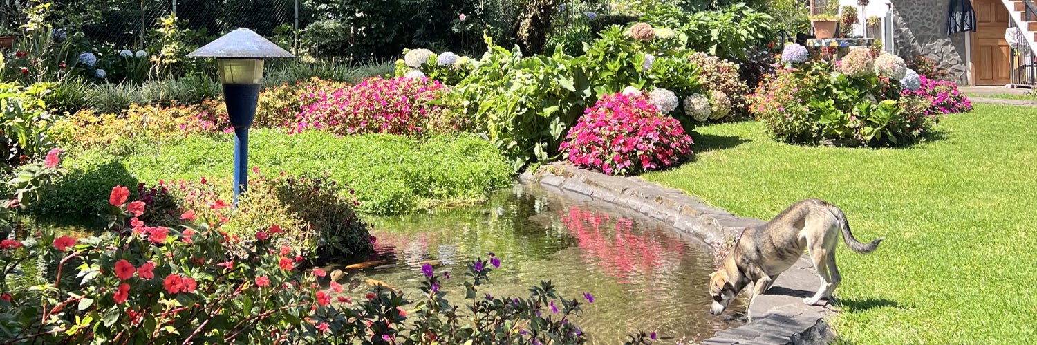 Ximena Fernández D. banner