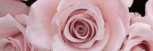 soulfullywell's profile banner image