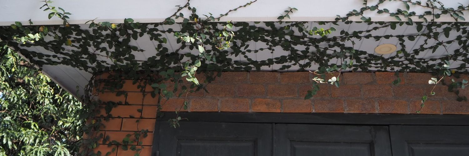 kimbapmaipark's profile banner image