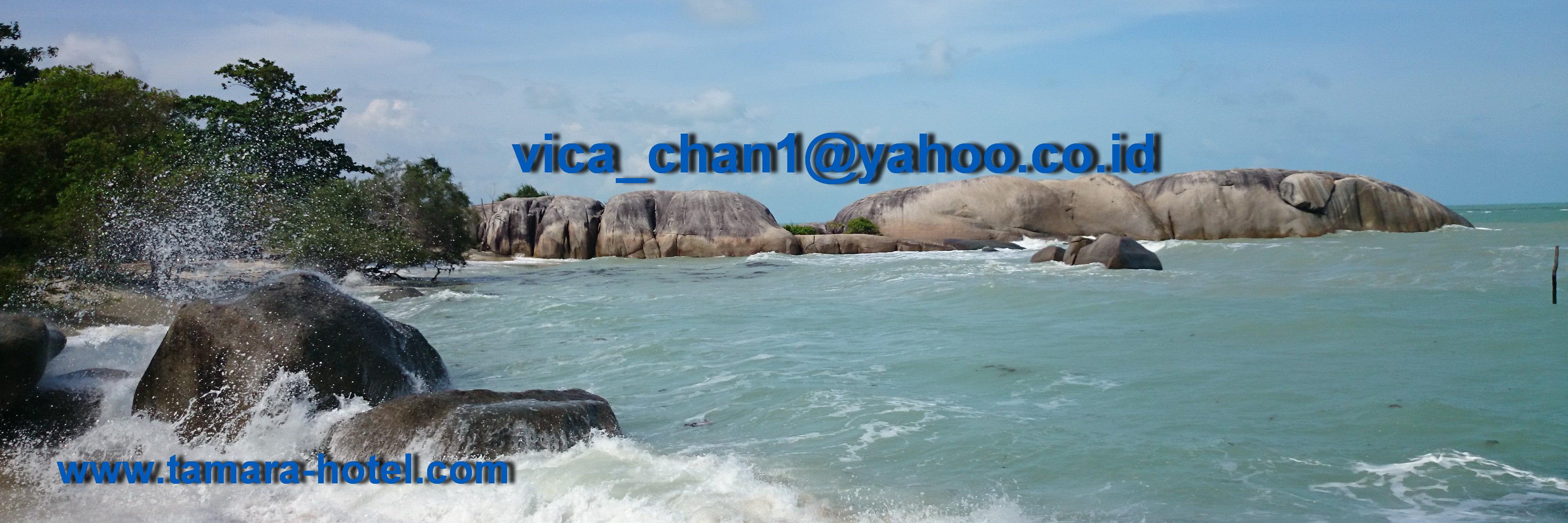 vicachan1's profile banner image