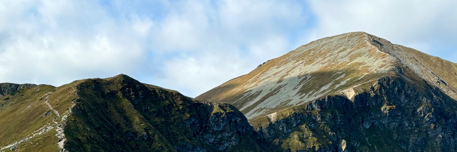 Dawid Lewandowski banner