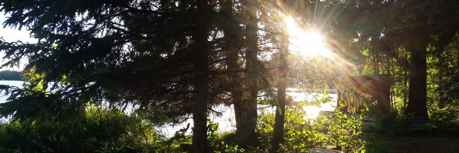 erinheleniris's profile banner image