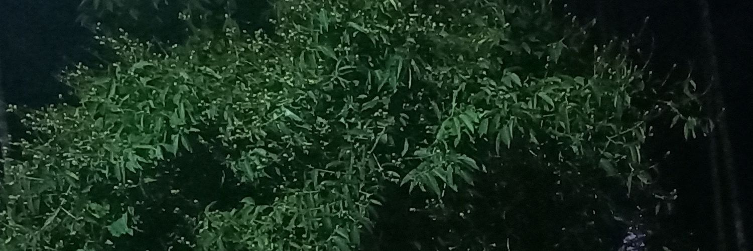 Abdul KadΞr 📈 banner