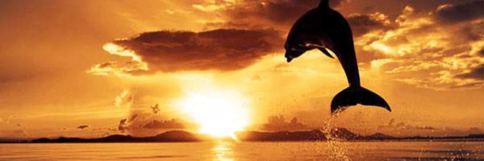K3_7Fsz's profile banner image