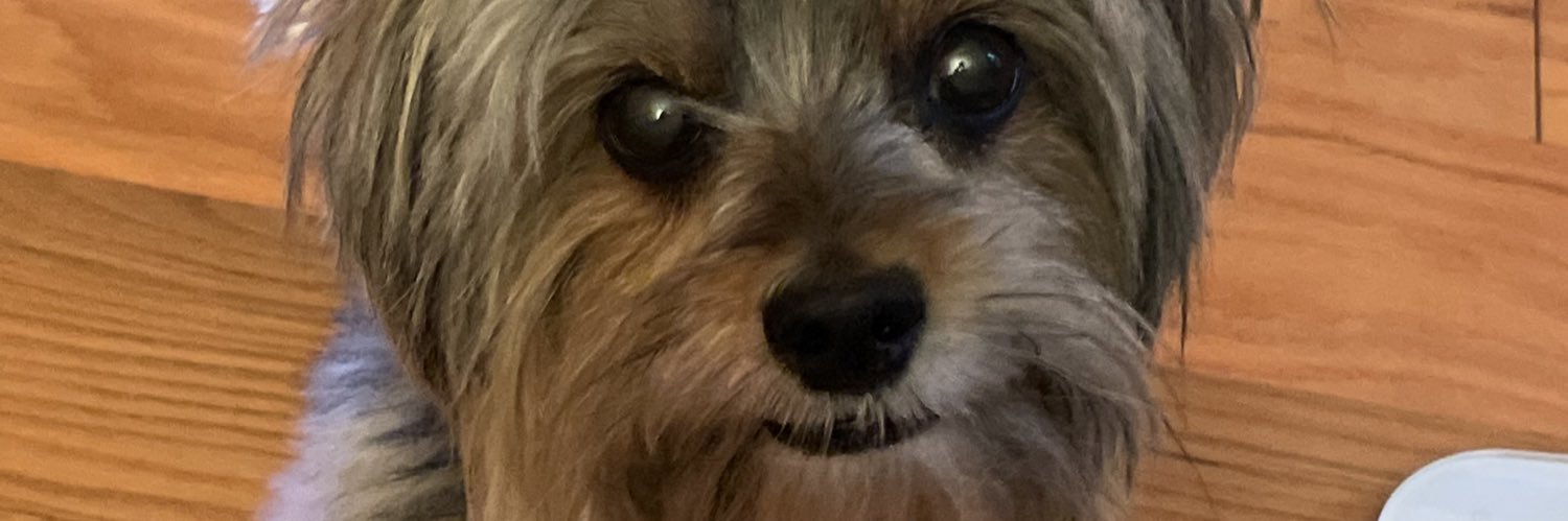 casassy_'s profile banner image
