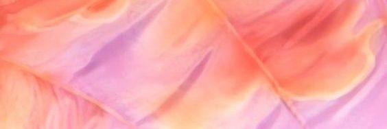 Jeonghyeon. banner