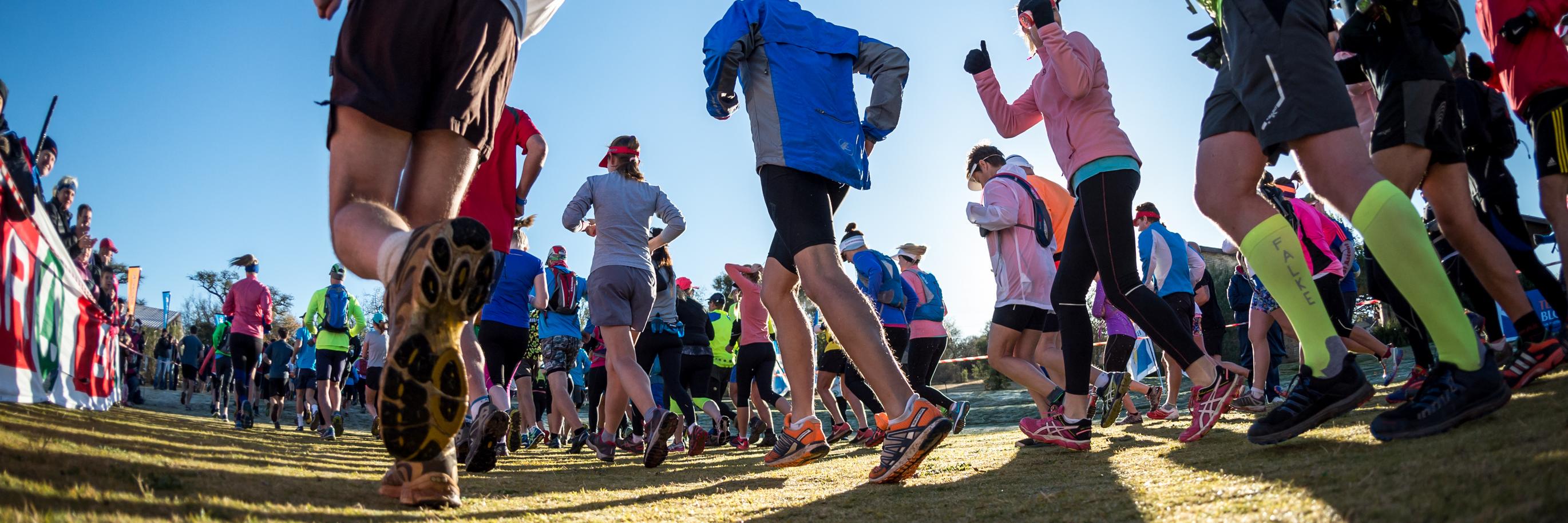 Oxpecker trail run banner