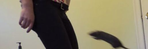 KatrinaMaury's profile banner image