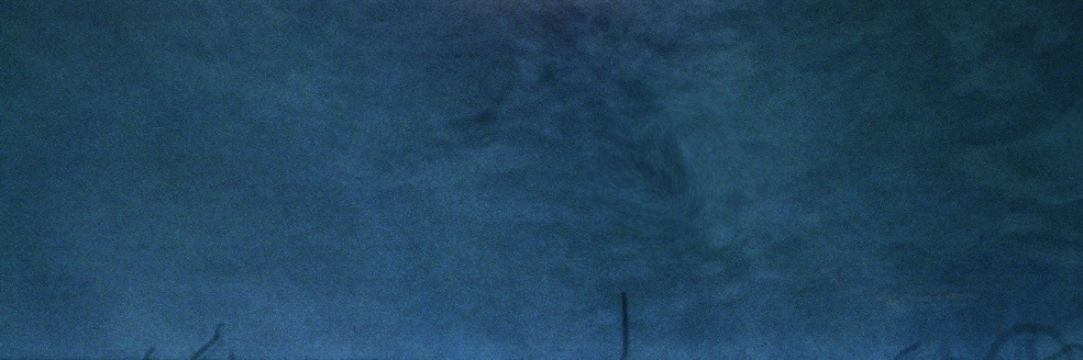 wildechomusic's profile banner image