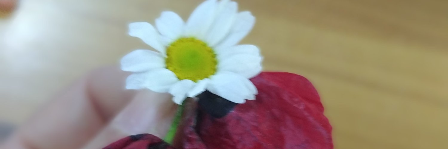 MecbureErsen's profile banner image