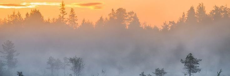 Silver__Violet's profile banner image