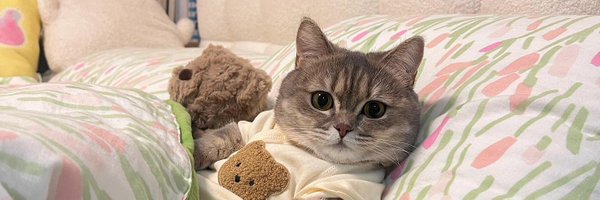 amiisha_here Profile Banner