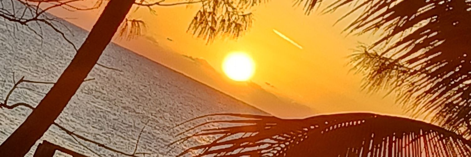 bonezmayne's profile banner image