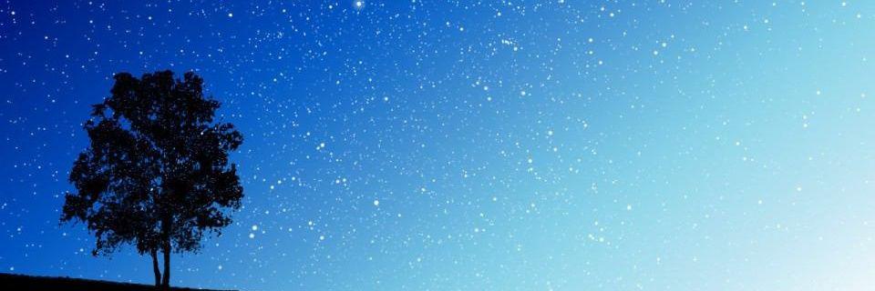 _riku_tan's profile banner image