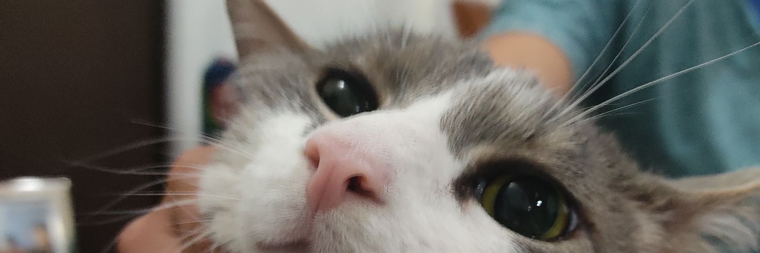 Soydel99yque's profile banner image