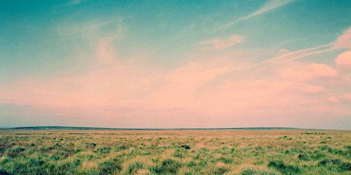 Deni_Serrano's profile banner image