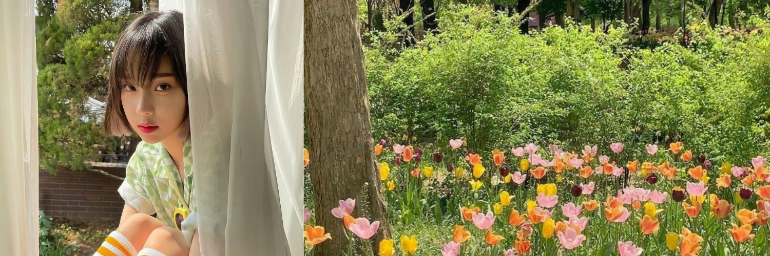 Licia🌱 banner