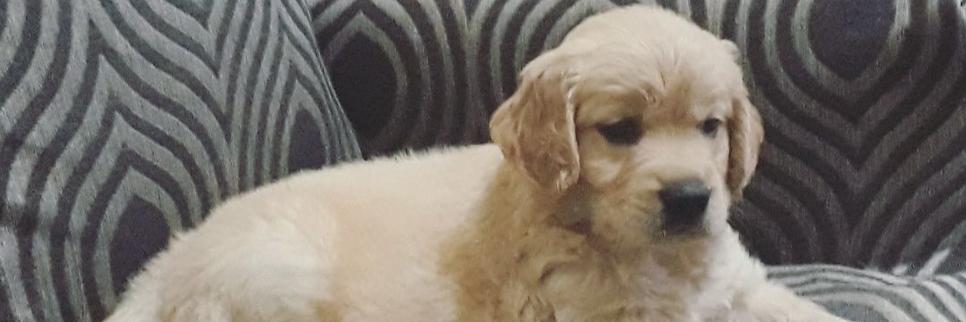 yamileBermudeez's profile banner image