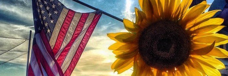 Simpson_taylor's profile banner image