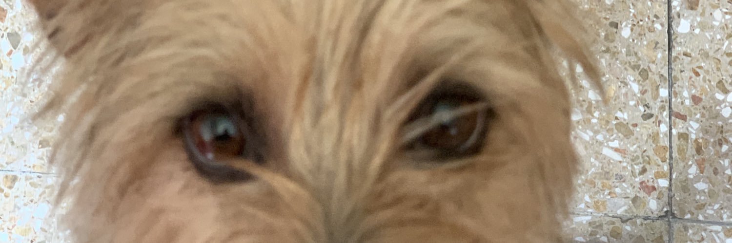Marthiix33's profile banner image