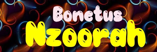 Mwene Nzoorah (Bonetus)'s banner